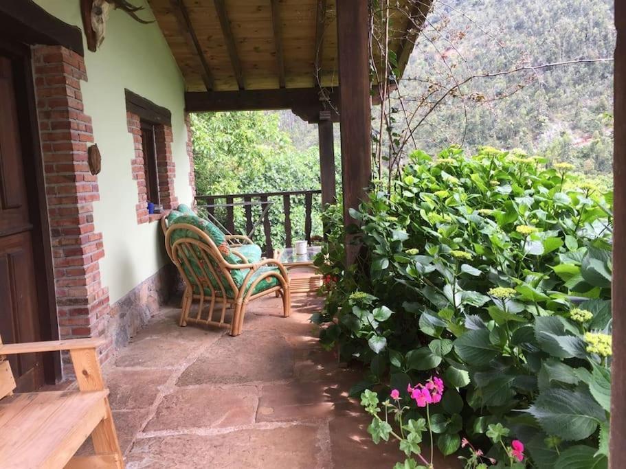 Los Acebos De Pena Cabarga, Cupula Experiencias Sobremazas Bagian luar foto